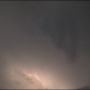 Meet your Posher, Ali